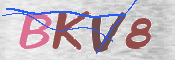 Kontrolní text